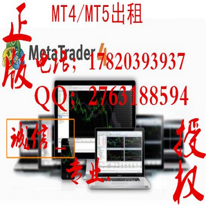 出租MT4黄金外汇交易平台_MT4出租_MT4