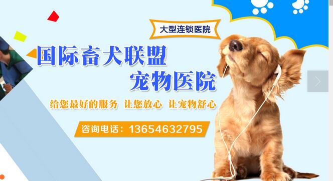 哈尔滨宠物医疗,黑龙江宠物医院,畜犬13654632795