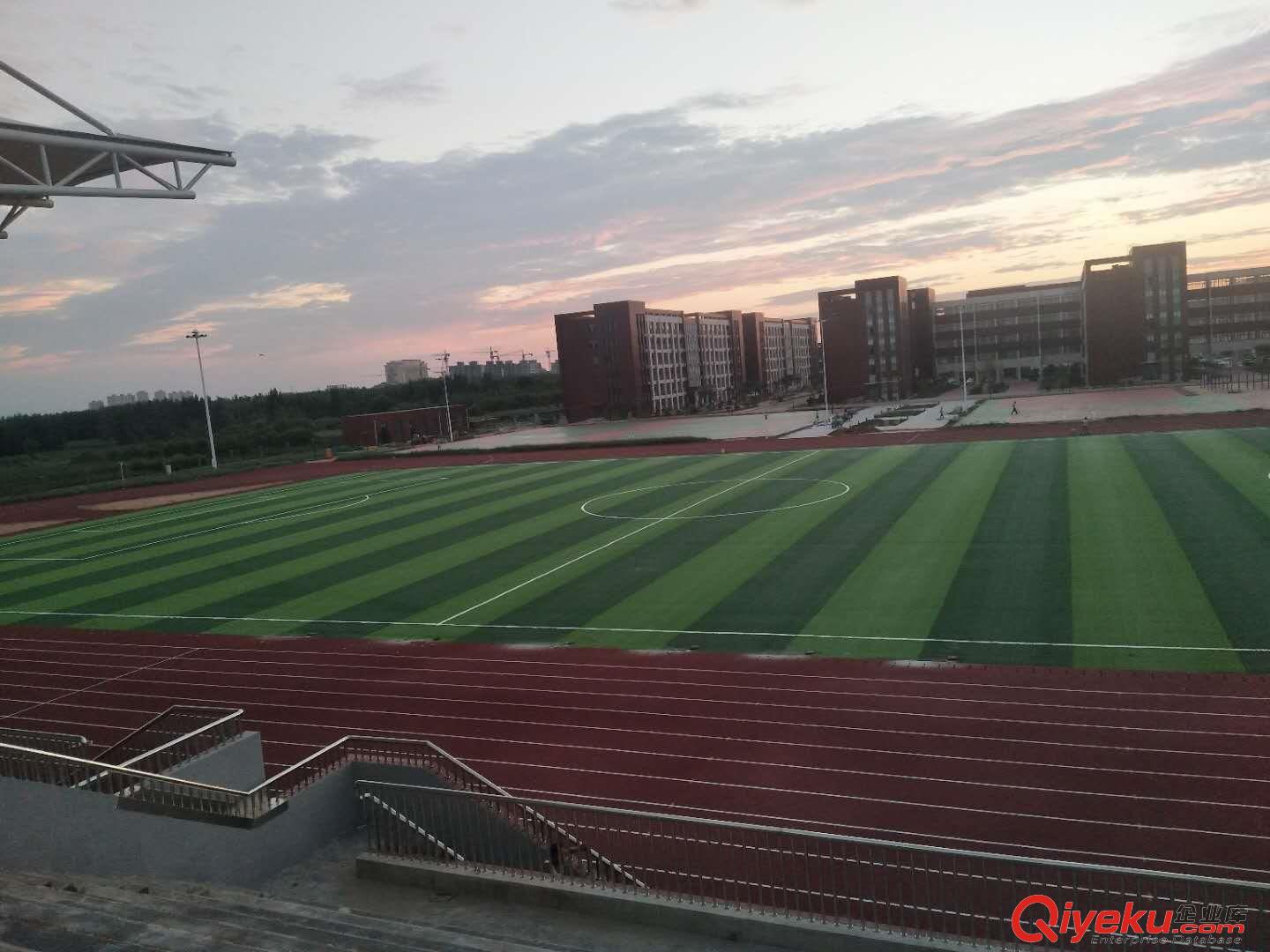 供应山东夏津草坪铺设