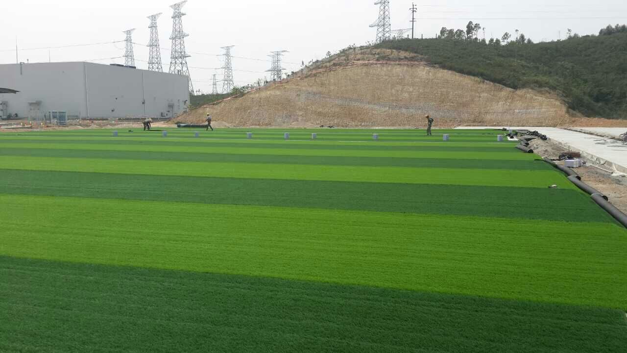 广西贺州人造草坪 足球场 学校运动场 仿真草坪价格