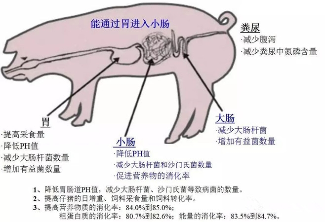 饲料级二甲酸钾减少仔猪腹泻具有吸潮性易溶于水