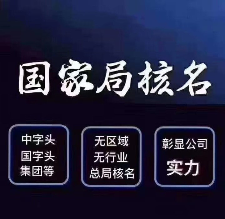 无区域电力建设类公司名称的办理要求及费用