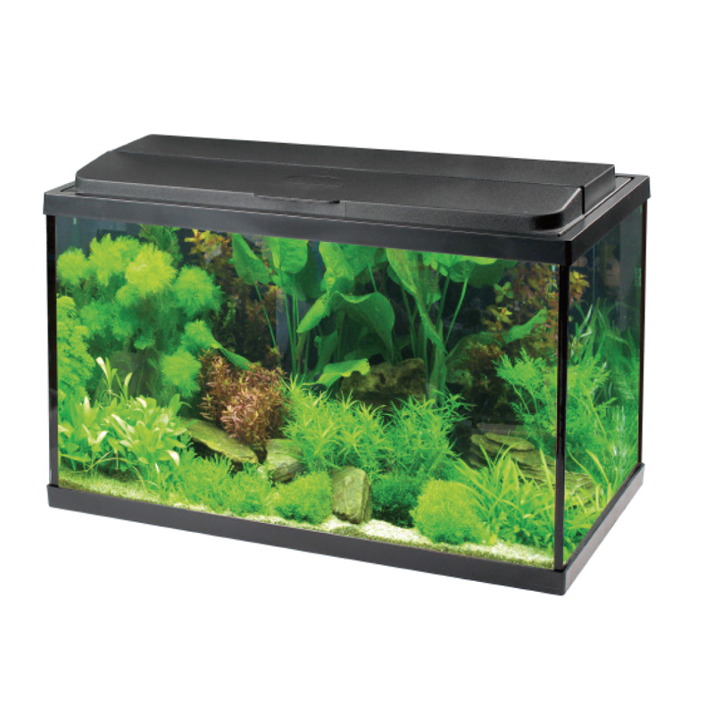 RECTANGULAR GLASS AQUARIUM