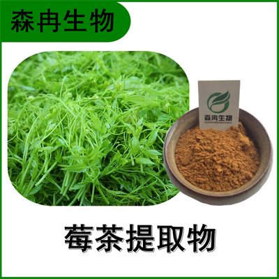 森冉生物 莓茶提取物 茅岩莓茶提取物 显齿蛇葡萄叶提取物