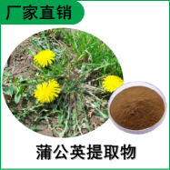 森冉生物 蒲公英提取物 黄花地丁提取物 比例提取原料粉