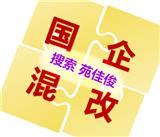 国企混改费用方案路径周期