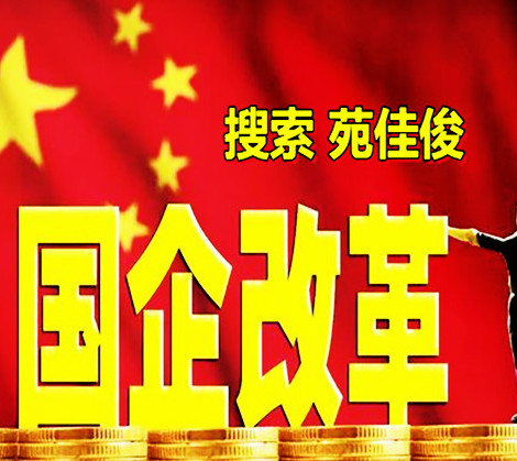 私企参与国有企业混合所有制改革的流程费用