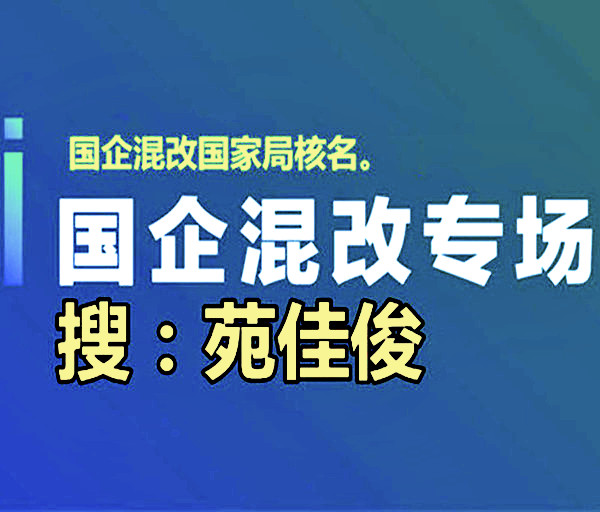 私企融入国企混改合作的费用步骤